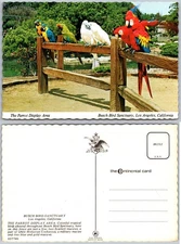 Continental Busch Bird Sanctuary Postcard