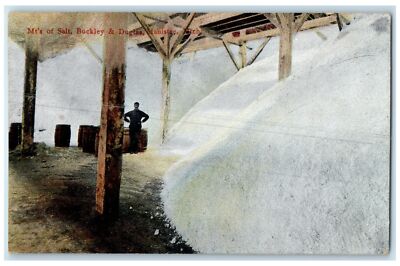 c1950's Mounts Of Salt Buckley & Duglas Manistee Michigan MI Unposted Postcard