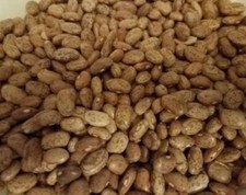 Premium Pinto Beans grown to organic standard...