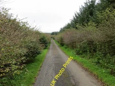 Photo 6x4 Lane to West Carswell Farm Gabroc Hill Looking eastward. c2016