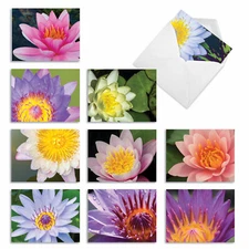 10 Pack All Occasion Blank Note Cards With Envelopes - Lily Pond