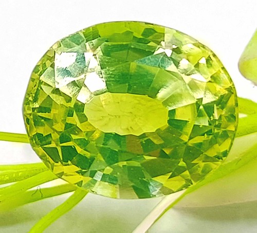 12.30 Ct Natural Rare Green Peridot Oval Cut AAA Certified Loose Gemstones AKQ - Picture 7 of 9