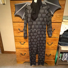 Minecraft Ender Dragon Hooded One-Piece Costume Black/Gray w/ Wings  Headpiece
