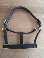 Lederhalfter Schwarz Gr. COB Qualität vom Sattler Stabiles Weiches  LEDER Neu