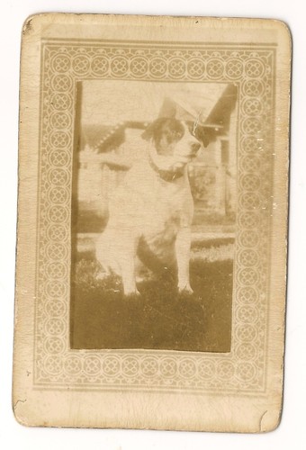 VINTAGE SWAP PLAYING CARD DOGS JACK RUSSELL TERRIER DOG