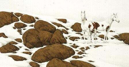 Bev Doolittle - Hide and Seek - (7 Pieces) - S/N Lithograph Set
