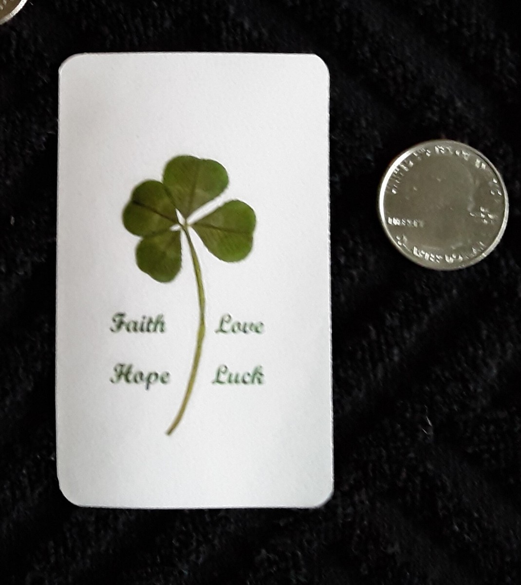Real 4-Leaf Clover–Laminated 2006 Luck/Easter/Mother's Day/St