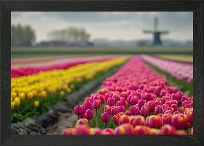 Niederlande Tulpenfelder Gerahmtes Wandbild Poster Leinwanddruck Bild