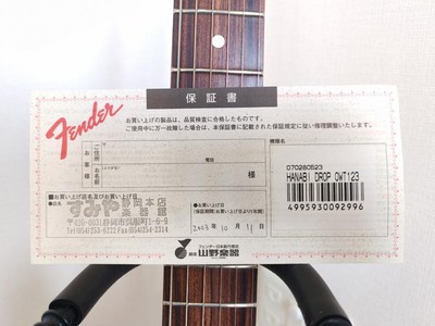 Fender Stratocaster HANABI 手描き 300のうちの1個 Electric Guitar Fender Stratocaster HANABI Limited Special Edition