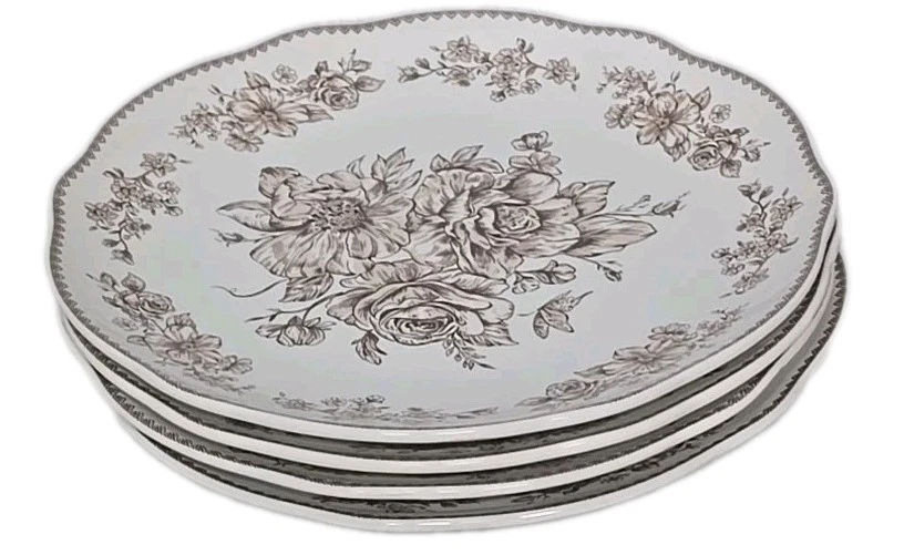 Juego de cuatro (4) platos de cena de gres Pioneer Woman ~ AGATHA BROWN ~ 10,5" Foto 3 de 4