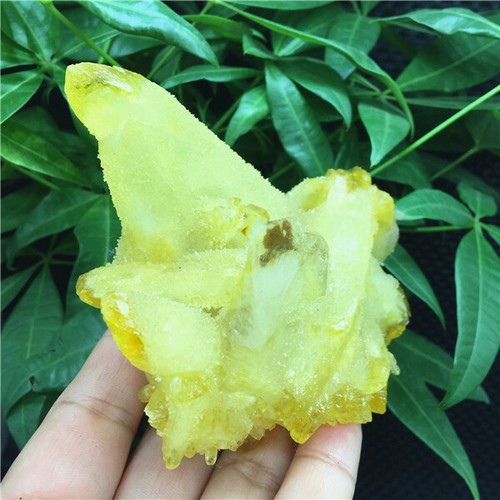 335g PRETTY Yellow AN QUARTZ CRYSTAL CLUSTER Specimen HEALING X511 - Picture 6 of 9