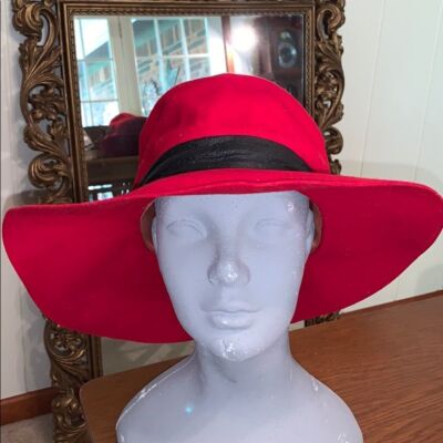 Vtg 60 display picture 2