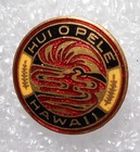 E012 Hawaii Pin: Hui O Pele, Hawaii (Volcano Erupting Lava Flow). W&H Enamel Pin — photo 3