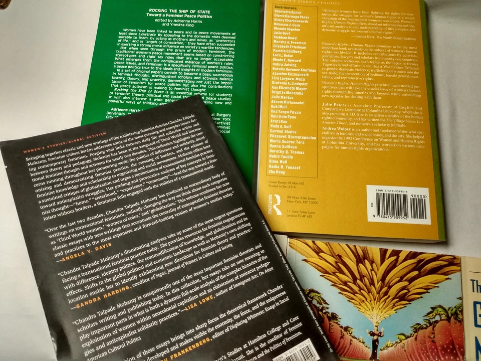 International Political Theory Feminism Women’s Studies Gender Human Rights Lot Foto 2 de 4