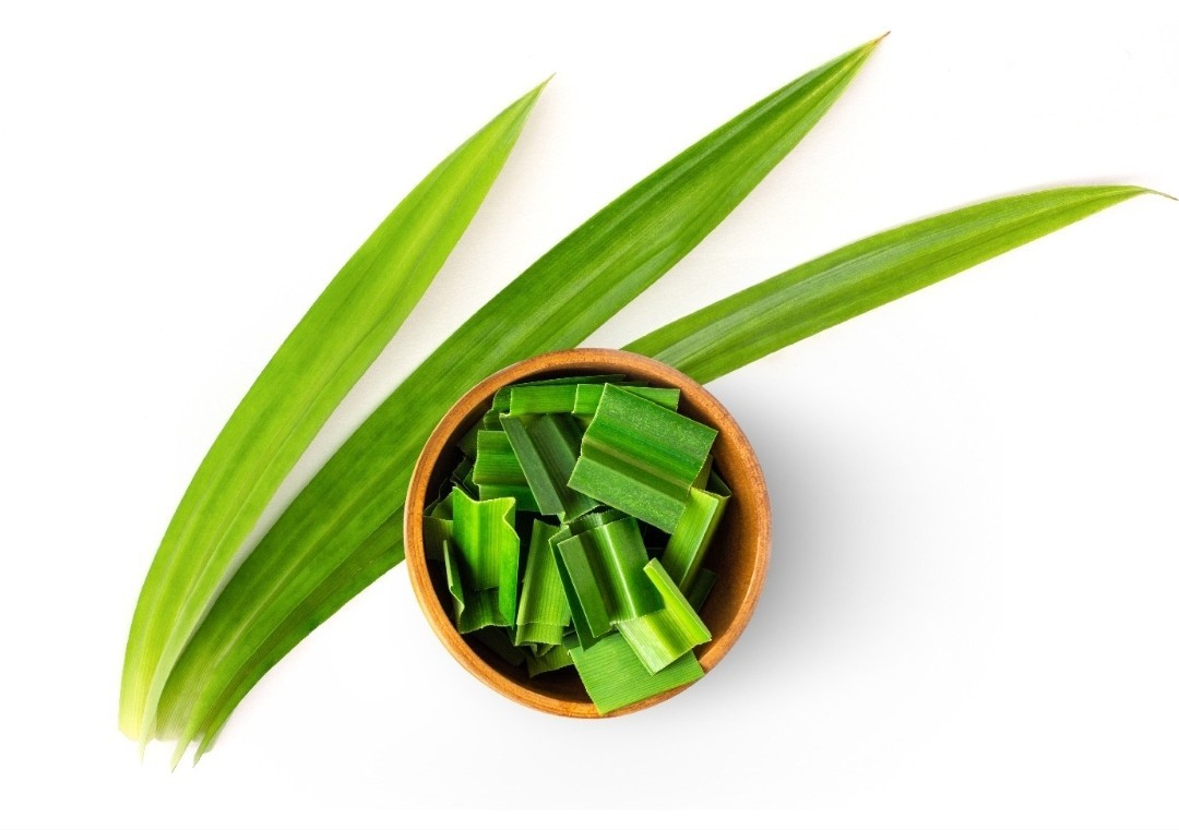 Polvo de hojas de pandan 200 g polvo natural de hojas de pandan para hornear postres