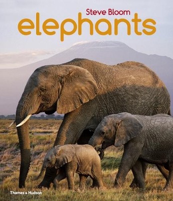 Elephants by David Henry Wilson 0500650551 FREE Shipping