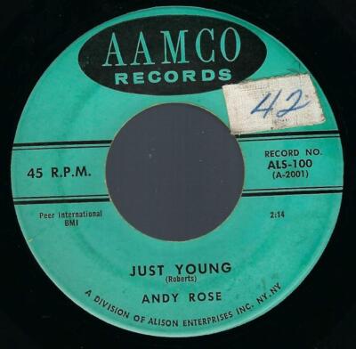 Andy Rose Just Young / Lov-A Lov-A Love 45 rpm AAMCO Teen Pop Rockabilly vg++