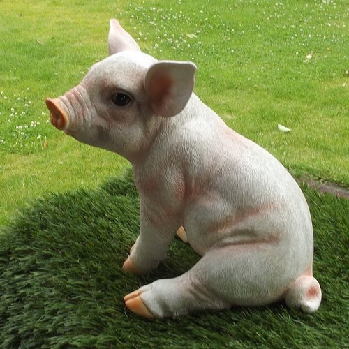 Gartenfigur Schwein Ferkel 7854 sitzend Haus Garten Deko lebensecht