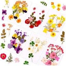 Pressed Dried Flowers for Resin Crafting, Natural Preserved Petals  Romantic