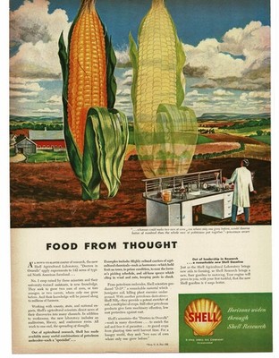 1946 Shell Oil Co. Research Agricultural Lab doubles corn production farm art Ad