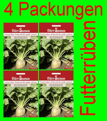 4 Packungen Saatgut Futterrben Eckendorfer gelbe Walzen Rbensamen Samen  Kohl | eBay.de