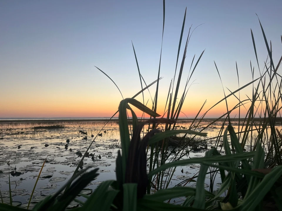 приманка стая пловец набор. - Изображение 4 из 4