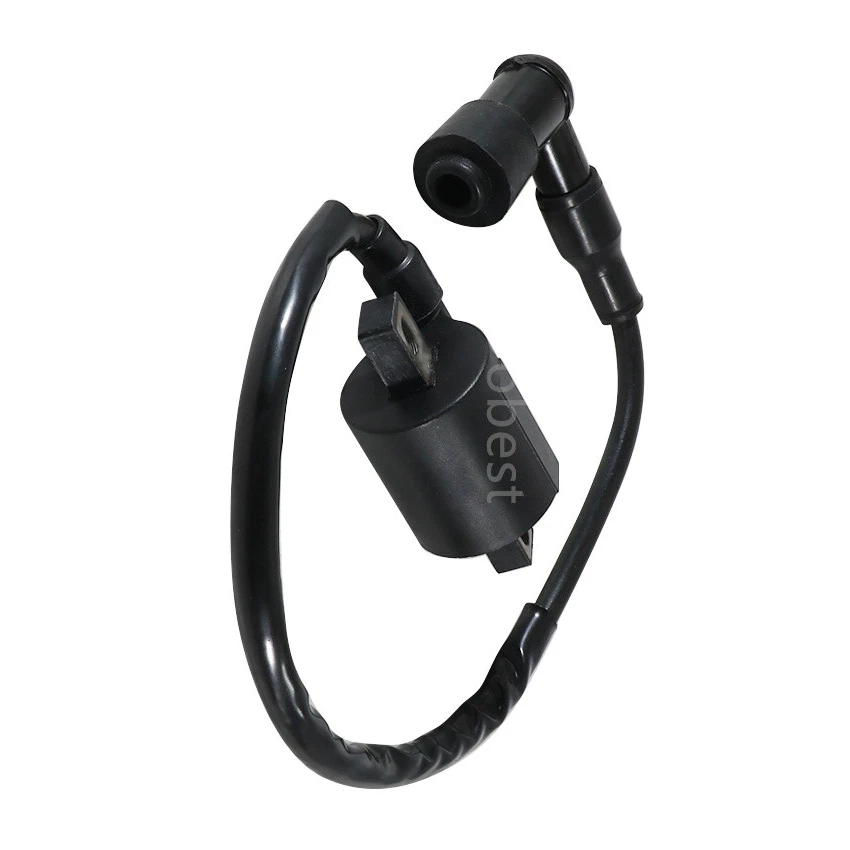 Bobina de encendido para Yamaha TTR110 TTR125 TW125 YZ80 TW200 TTR90 TTR125LWE TTR125R Foto 4 de 4