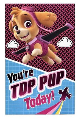 Paw Patrol Birthday Card For Kid with Removable Pink Skye Sticker Hallmark NEW