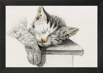 Skizze einer schlafenden Katze B gerahmtes Wandbild Poster Leinwanddruck Bild