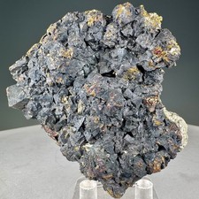 Freibergite, Chalcopyrite, Pyrite: Eagle mine, Gilman, Eagle Cty, Colorado, USA