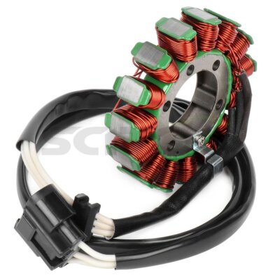 いっしー　 めえ 2001 Kawasaki Ninja ZX-11