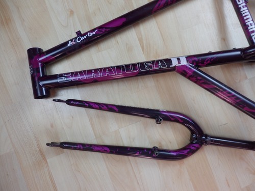Retro Elevated chainstay 1991 Al Carter Saratoga II Frame & Forks size 48cm - Picture 4 of 24