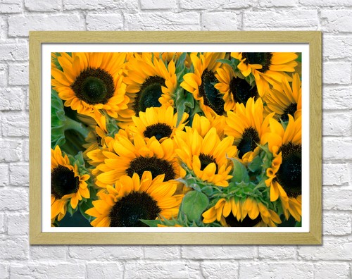 SUNFLOWERS -DEEP FRAMED CANVAS FLORAL WALL ART PICTURE PAPER PRINT-YELLOW GREEN - Picture 14 of 15