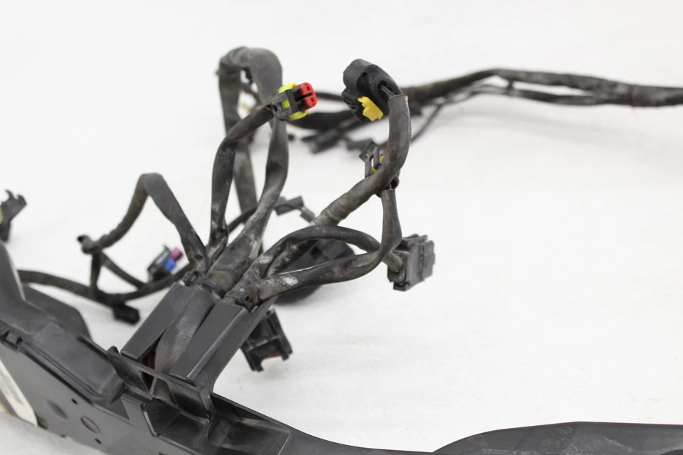 Жгут проводов основного двигателя 2015 Harley Davidson Freewheeler - Изображение 4 из 4