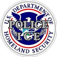  Dept of Homeland Security Reflective Vinyl Decal Sticker DHS ICE Police Customs