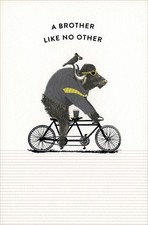 Funny BIRTHDAY Card FOR BROTHER, Bull Bird Bike by American Greetings + Envelope