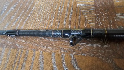 Daiwa Morethan AGS 97MLB | eBay
