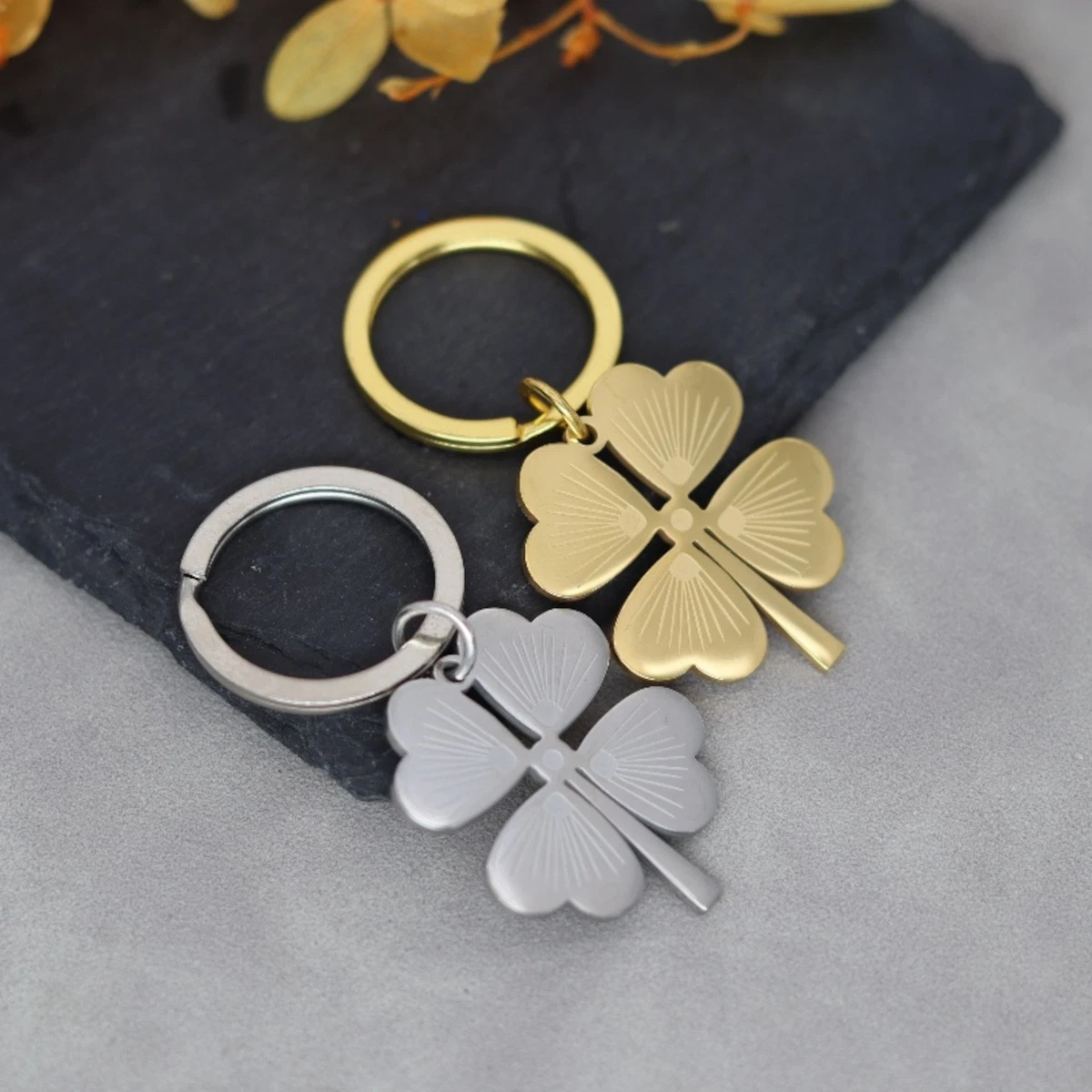 Metal Le Chiavi Della Porta Con I Portachiavi A Anello Di Di Casa Forma Isolati Su Fondo Bianco 73587163