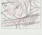 The Twelve Kingdoms Juuni Kokki Genga Douga Original Sketches Pierrot - Youko — photo 10