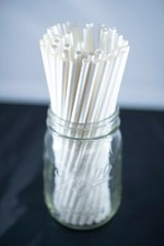 500 White 7.75 Inch Biodegradable Eco-friendly Paper Straws Bulk, Wrapped