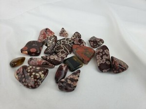  Hand Carved group of unusual stones