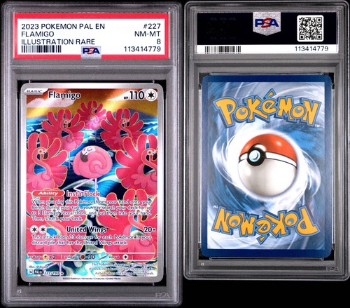 Flamigo graded PSA 8 for sale on eBay