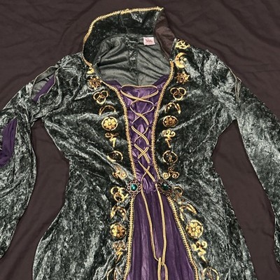 Disney Hocus Pocus Winifred Sanderson Costume Dress XL Green Halloween |  eBay