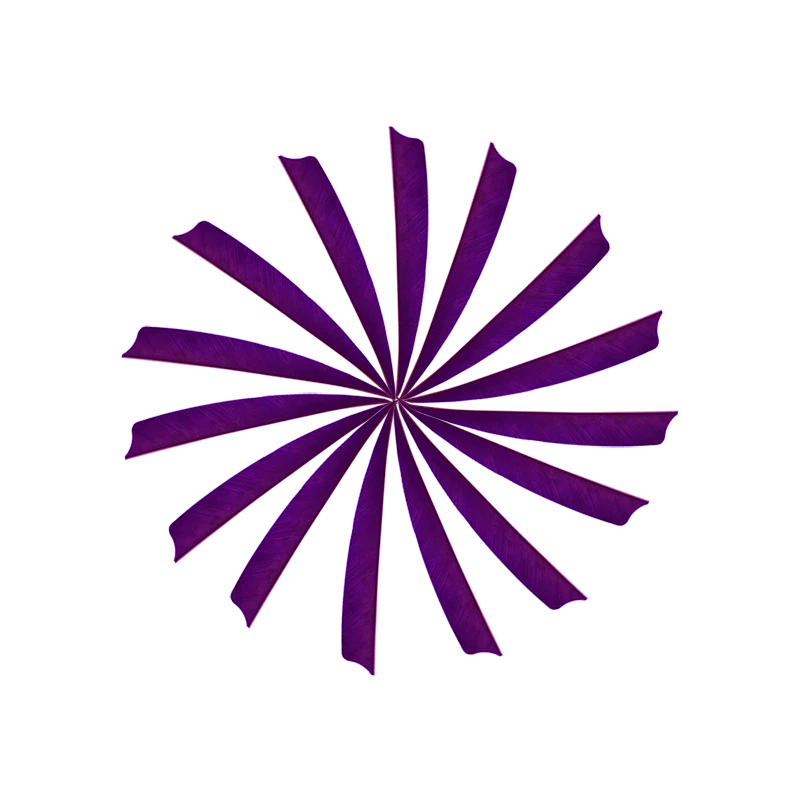 50pcs 5 in Archery Feather Turkey Fletching Flethes DIY Arrow Shafts Bow Hunting - Image 4 of 4