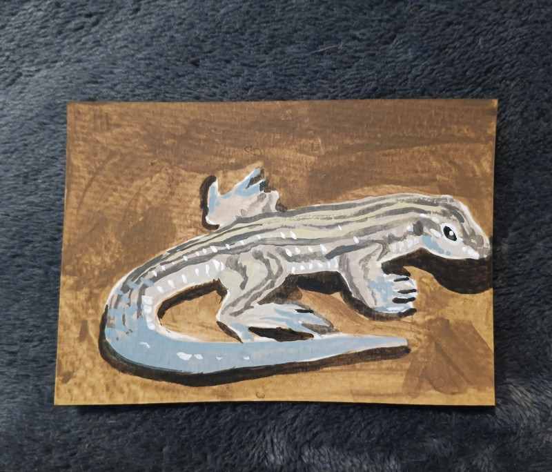 Original Lizard ACEO Acrylic Art Card 2.5in X 3.5in Signed By S.p.paintings