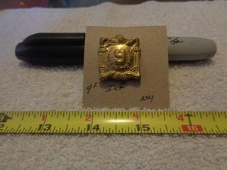 9th Infantry NH Unit Crest DI DUI (DRAW#R17)