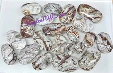 Wholesale Lot 2 Lbs Natural Mexican Lace Agate Palm Stone Crystal Healing