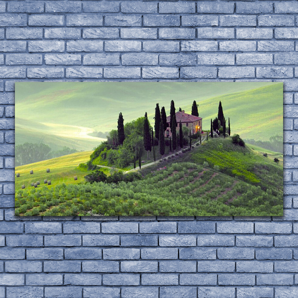 Tableau nature arbres et prairie impression sur verre panoramique 140x70 cm
