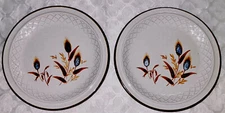 VINTAGE STONE WARE PLATE Salad Plate with Beautiful Fall Dried Flowers Set Of 2