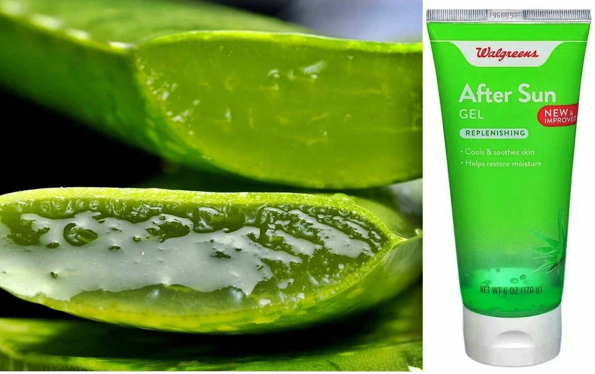 Aloe Vera Lotion Walgreens